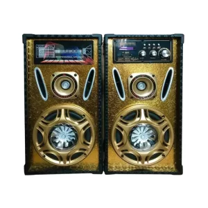 Gamma GT-5010 5-Inch Speaker USB-BT-FM-R with Bluetooth, USB, and FM radio features