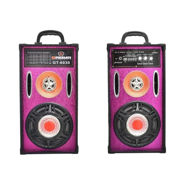 Gamma GT-6030 6-Inch Pairs Speaker with USB, Bluetooth, and FM Radio