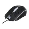 Gamma GT-104 Wired RGB Mouse